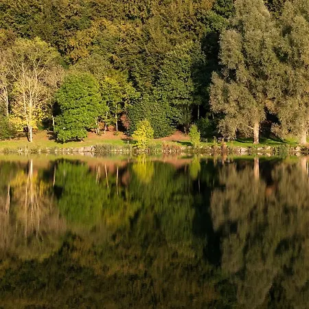 Eifel & - Ferienhaeuser Am Waldsee Rieden/eifel Tatil Evi Rieden (Mayen-Koblenz)